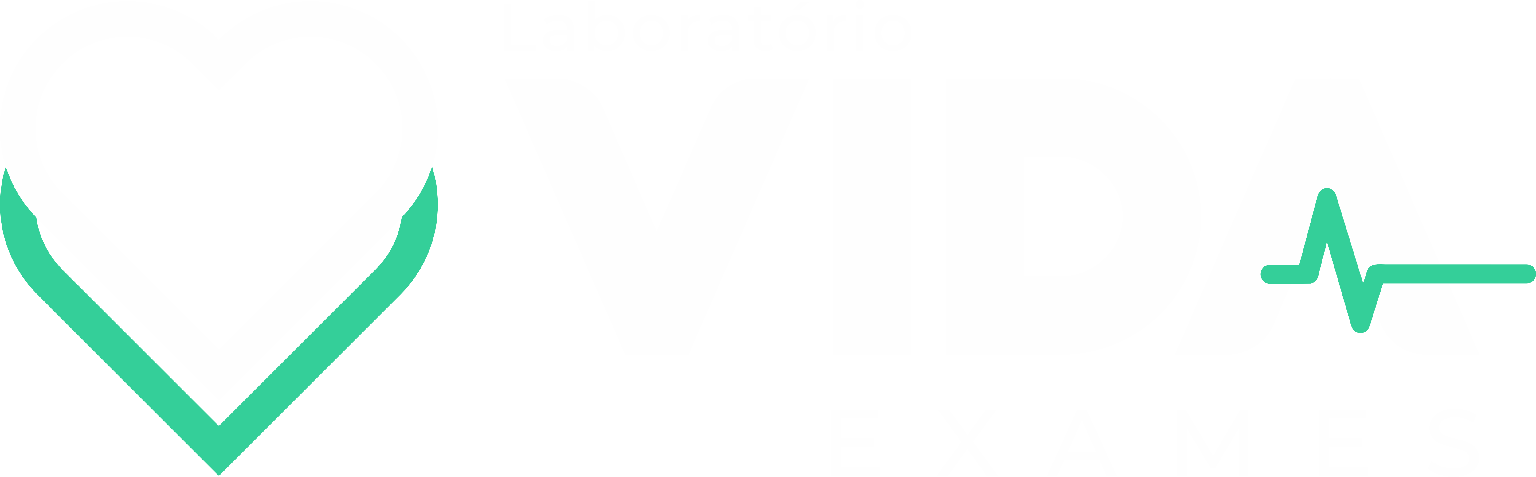 Logo Vida Exame